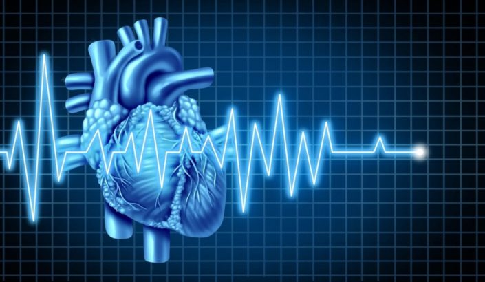 illustration of human heart and electrocardiogram graph representing heartbeat