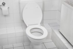 white toilet bowl in a clean hygienic bathroom