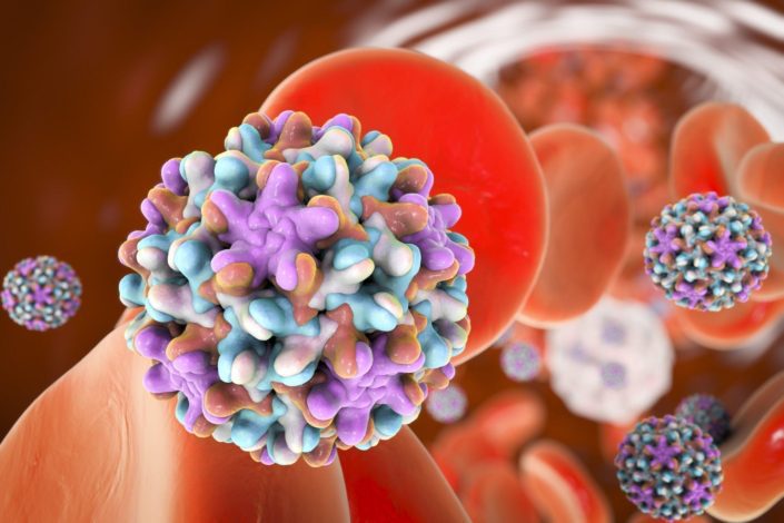 A 3-D illustration of hepatitis B virus in blood vessel with red blood cells