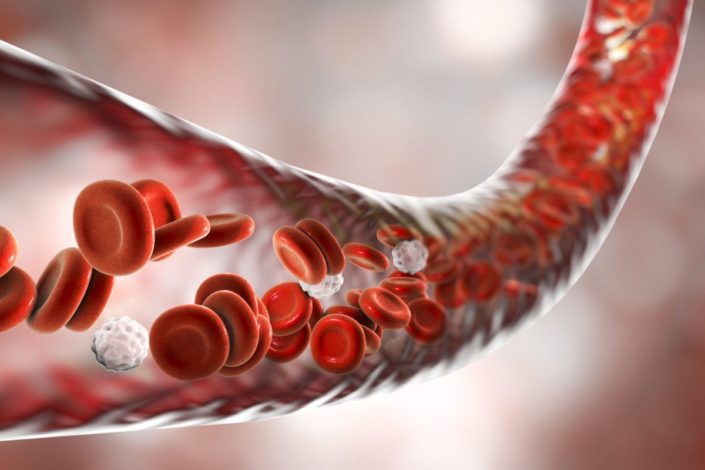 red and white blood cells traveling through a vein in the human body