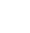 American Academy of Family Physicians Foundation Logo